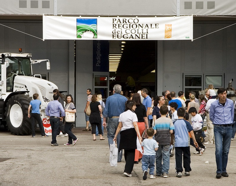 意大利帕多瓦會展中心實景