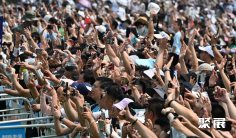 2025年长春航展门票如何申请?多少钱?