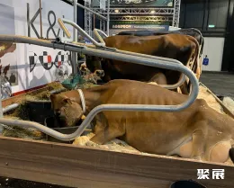 荷兰奶业展展会现场(现场盛况)7