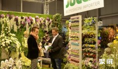 波兰园艺展2024门票多少钱