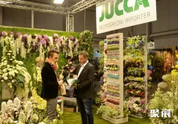 波茲南花卉園藝展展會(huì)現(xiàn)場(chǎng)(現(xiàn)場(chǎng)盛況)5