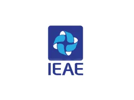  IEAE