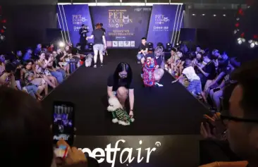 上海亚宠展(Petfair asia)2026展品有哪些？
