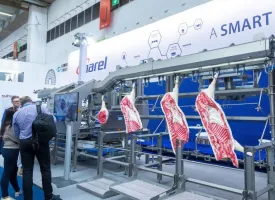 2025德國(guó)肉類展展位費(fèi)與展位圖