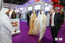 迪拜光伏展现场图片6