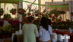 印度花卉园艺展2025门票在哪买