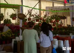 印度花卉展展会现场(现场盛况)4