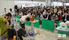 2026年东京宠物展门票哪里买,购买途径?