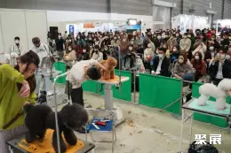 东京宠物用品展展会现场(现场盛况)9