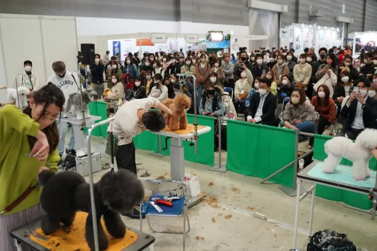 日本东京宠物用品展览会