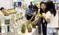 2025越南果蔬展门票在哪买 购票入口