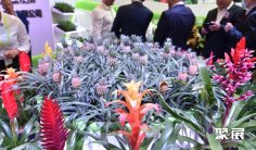 2026北京花卉园艺展 (Hortiflorexpo IPM Beijing)观众预登记正式开启,精彩即将登场!