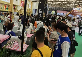 深圳亚宠展现场图片2
