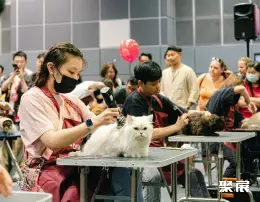 新加坡猫展展会现场(现场盛况)2