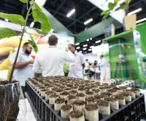 2026巴西果蔬展时间和举办地点