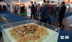 2026德国新能源展展位图与展位预订