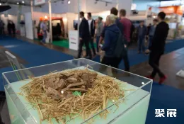 德国新能源展现场图片7