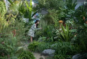 海宁园艺展2025门票价格