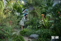 海宁园艺展现场图片8