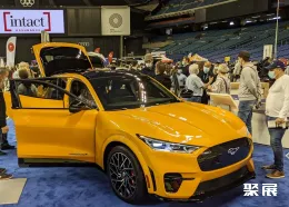 加拿大电动车展现场图片4