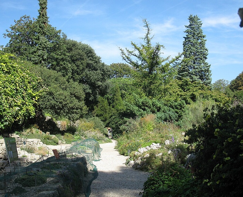 法國巴黎花卉公園實景圖
