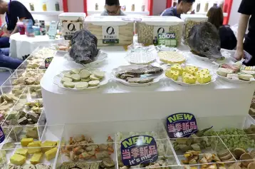 2025上海宠物展展位价格与展位预定