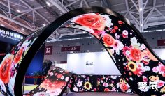 2025深圳显示展门票购买方式