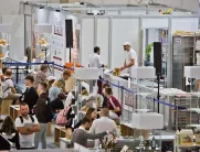 2025波兰有机食品展时间和举办地点