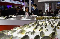 2025年青岛渔博会门票多少钱，怎么购买？