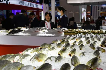 青岛渔博会2026时间表及地点