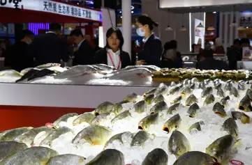 中国国际渔业博览会-青岛渔博会(China Fisheries &amp; Seafood Expo)2026逛展指南：时间地点/门票价格