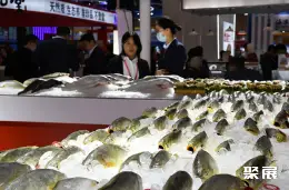 China Fisheries & Seafood Expo (Qingdao) on-site exhibition (highlights)11
