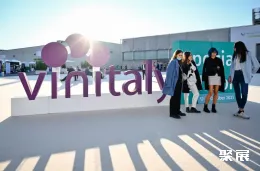 意大利酒展现场图片10