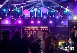 德国灯光展现场图片8