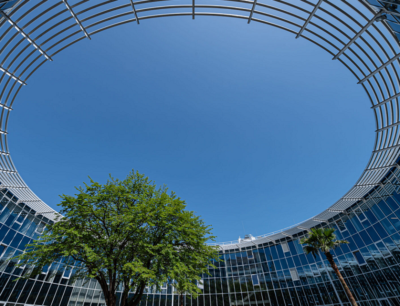 俄罗斯索契Sirius天狼星大学实拍图