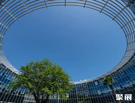 Federal territory "Sirius", University "Sirius"