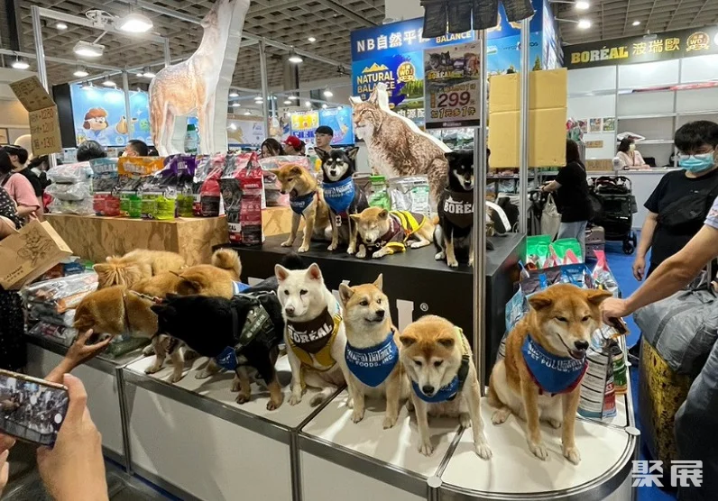 展会现场