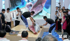 2025年日本东京海鲜水产及渔业展览会门票多少钱,怎么购买?