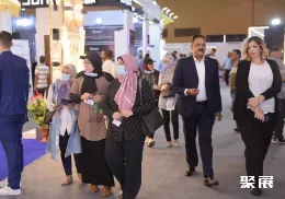 开罗LED照明展展会现场(现场盛况)3