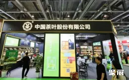 杭州茶博会现场图片5