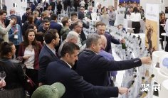 2027德国葡萄酒展(ProWein Düsseldorf)参展攻略:时间/地点/门票怎么买?