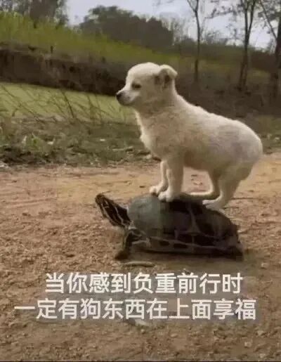 杭州市汽配展展馆平面图