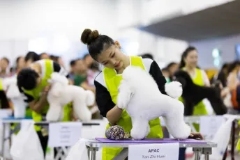 新加坡宠物用品展2026时间及地点