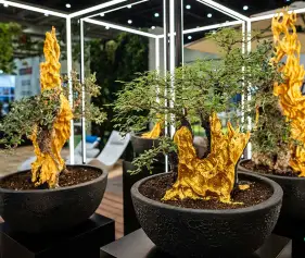 2026年迪拜花卉园艺展(Myplant &amp; Garden Middle East Green Expo)门票购买途径？怎么购票？