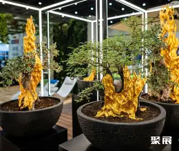 迪拜花卉园艺展展会现场(现场盛况)6