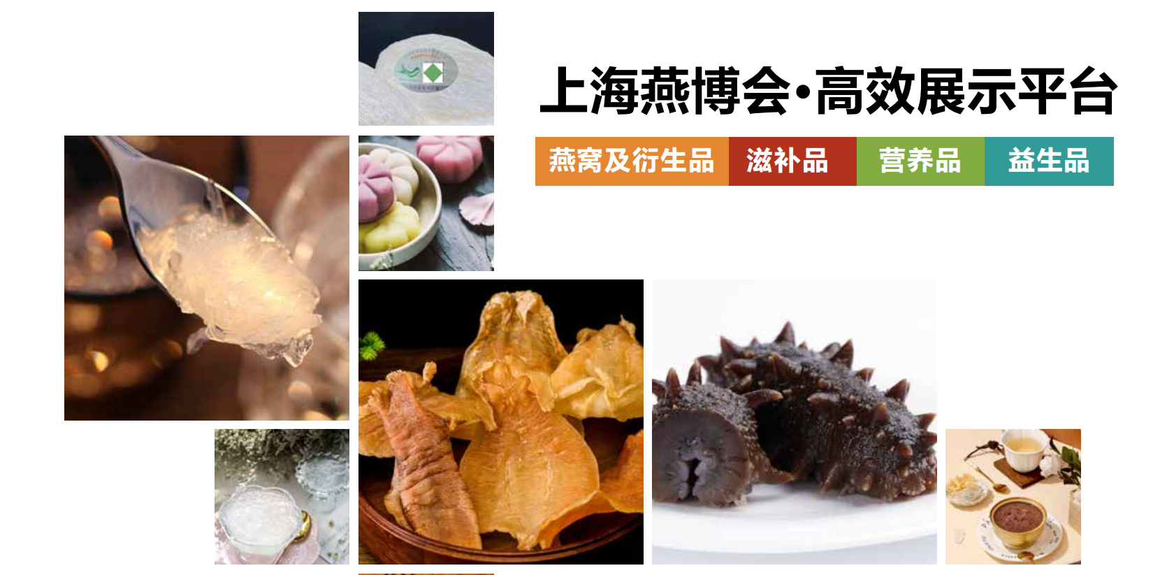 上海燕窝展展会介绍2