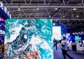 2026深圳显示展时间地点