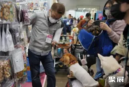 东京宠物展现场图片10