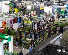 迪拜花卉园艺展展会现场(现场盛况)1