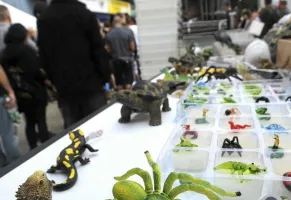 哈姆寵物展2024展位圖與展位申請(qǐng)